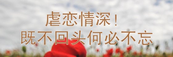 虐戀情深！既不回頭何必不忘